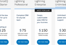 Salesforce CRM pricing: Everything You Need to Know