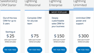Salesforce CRM pricing: Everything You Need to Know