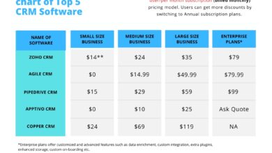 CRM Software Cost: Factors, Pricing Models, and Strategies